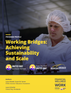Report cover: Working Bridges, Achieving Sustainability and Scale 